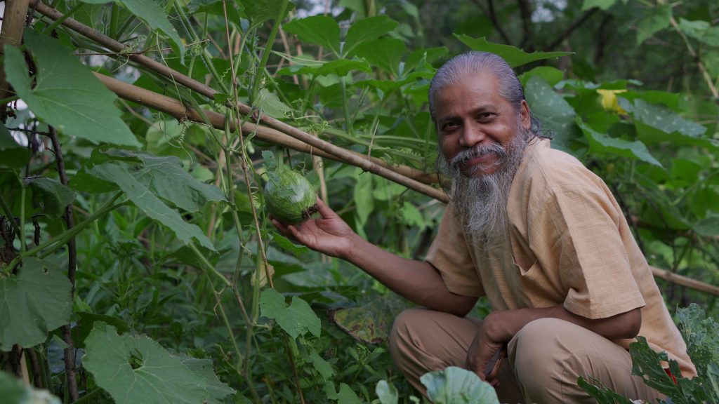 Dada And Pumpkin 1024x576